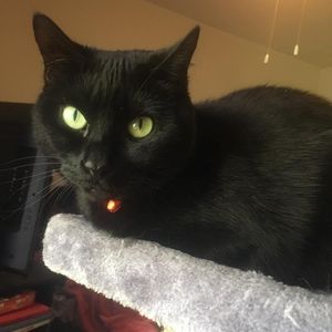 Meet your Posher, Shawnee